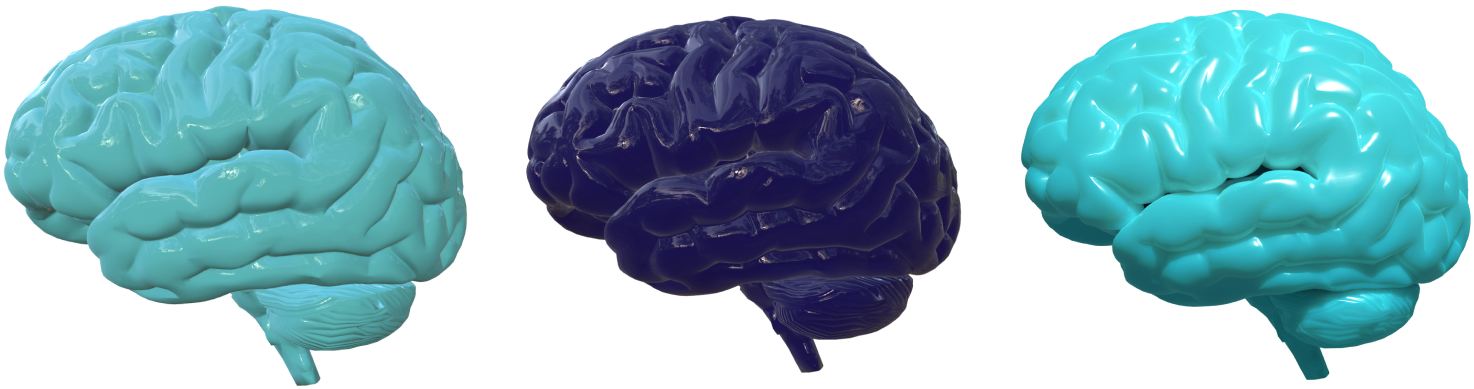 Three brains in 3D. First brain is turqoise, second is purple blue, and third is turqoise and much glossier than the previous two.